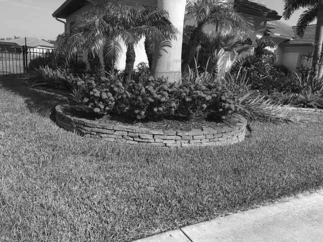 A-lawn-with-flowers-bed-and-palm-trees-taken-care-of-by-monasees-lawn