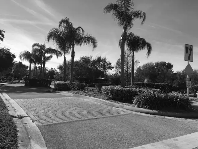 Palm-tree-and-shrubs-landscaped-by-manases-lawn-