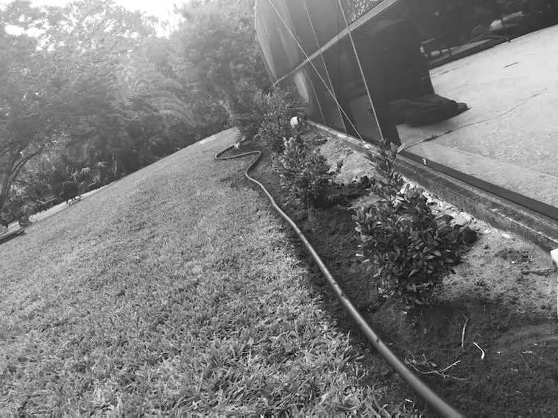 plants-and-irrigation-being-installed-by-manases-lawn-